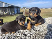 processed/3911045e-66cf-4310-8724-968f82f3c340/listing/1979c8bc-7bb8-4f3a-8090-a925385651b1/1421bf5c-ff50-4812-8288-57262632ac70