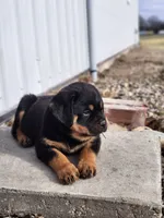 processed/3911045e-66cf-4310-8724-968f82f3c340/listing/1979c8bc-7bb8-4f3a-8090-a925385651b1/4d54a564-0c6b-43f4-baa8-c23ed0d4f5c7