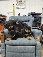 processed/3911045e-66cf-4310-8724-968f82f3c340/listing/1979c8bc-7bb8-4f3a-8090-a925385651b1/5c6562c6-2624-48ed-9a2d-6282b6e8fb0e