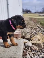 processed/3911045e-66cf-4310-8724-968f82f3c340/listing/1979c8bc-7bb8-4f3a-8090-a925385651b1/6abb8ec1-8a55-4e61-9311-16988c08b8a2