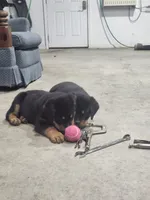 processed/3911045e-66cf-4310-8724-968f82f3c340/listing/1979c8bc-7bb8-4f3a-8090-a925385651b1/d3b5918b-3dda-4514-9ddf-85697ac3bc8c