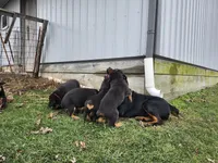 processed/3911045e-66cf-4310-8724-968f82f3c340/listing/1979c8bc-7bb8-4f3a-8090-a925385651b1/d4949ce1-8fe0-448d-8141-89b7c4b1c951