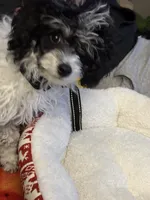 processed/391458d7-ea68-4589-a63c-342647390e5a/listing/8322ce78-b34a-47f9-9294-42bafda9d551/076ce4c9-09b6-49e1-8857-3be73a21de21