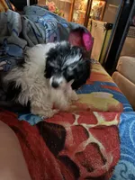 processed/391458d7-ea68-4589-a63c-342647390e5a/listing/8322ce78-b34a-47f9-9294-42bafda9d551/3a480db3-3cc9-42b7-b805-78f49b85896c