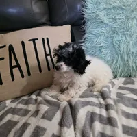 processed/391458d7-ea68-4589-a63c-342647390e5a/listing/8322ce78-b34a-47f9-9294-42bafda9d551/66fd4125-e6ba-438a-9dba-687bfc157946