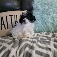 processed/391458d7-ea68-4589-a63c-342647390e5a/listing/8322ce78-b34a-47f9-9294-42bafda9d551/fdb2d89e-7416-4473-9718-48977e6a5082