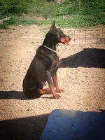 processed/3944fdbd-fb5e-4a70-b483-fea81394ac39/facility/66f40b09-c65d-4e91-9242-136df5219afe