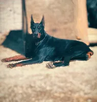 processed/3944fdbd-fb5e-4a70-b483-fea81394ac39/facility/88ac3aa2-6678-406f-8709-d8f8ff2395e3