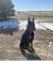 processed/3944fdbd-fb5e-4a70-b483-fea81394ac39/facility/89513a68-a08e-42fa-8d7e-fbcfa9c2004d