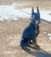 processed/3944fdbd-fb5e-4a70-b483-fea81394ac39/facility/981be654-ae71-4977-877e-2707c6b24987