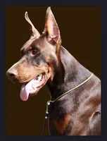 processed/3944fdbd-fb5e-4a70-b483-fea81394ac39/facility/d738a758-3504-4875-80cd-eddc57a9bc37