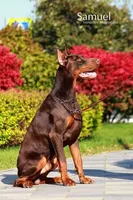 processed/3944fdbd-fb5e-4a70-b483-fea81394ac39/facility/ec70839b-f309-4057-b8e7-6dfed416697d