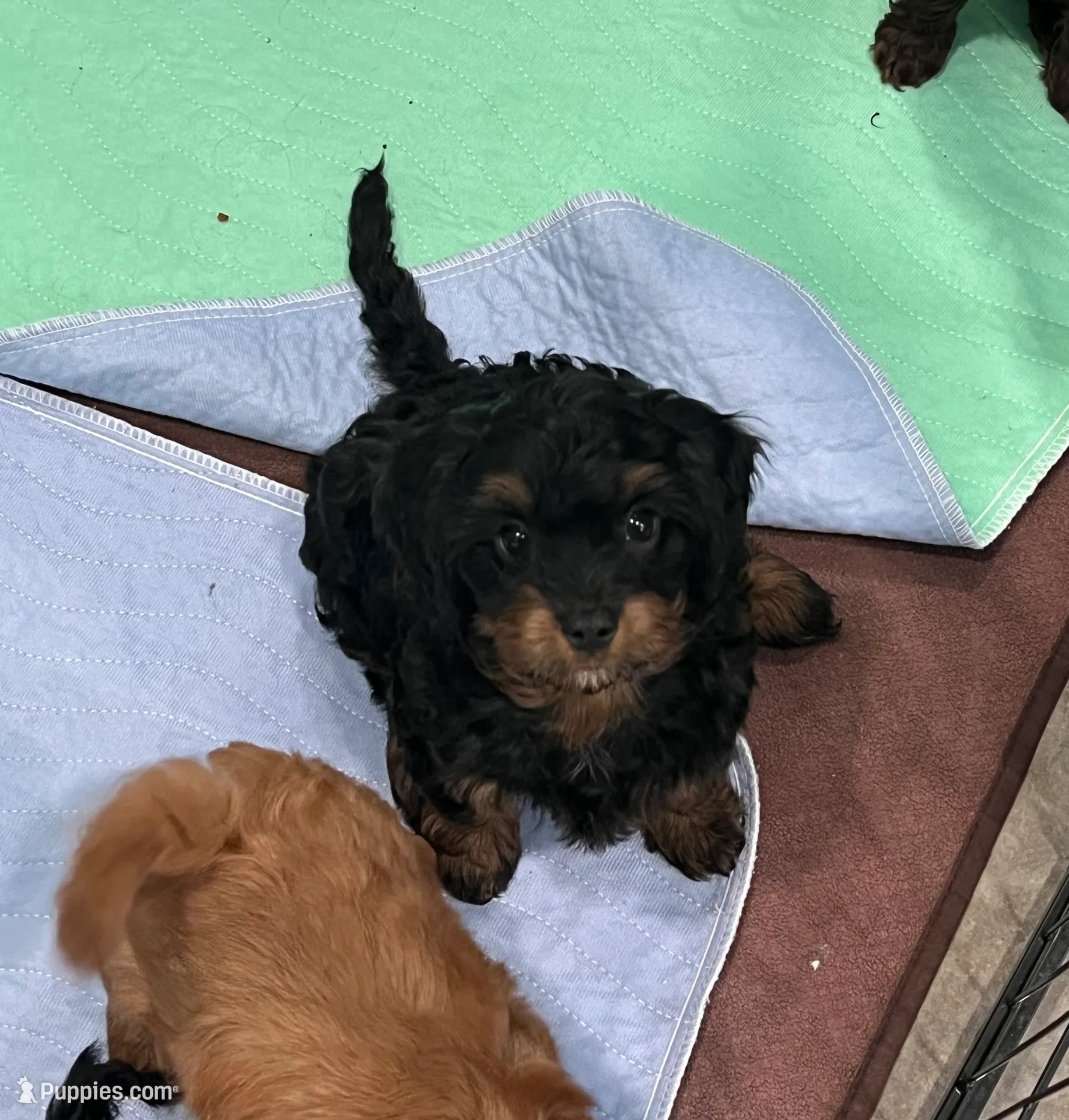 processed/39450f86-7a60-4c24-9498-ee06c53a56dd/listing/0f44b681-a02e-4372-9c53-79af1e3102ff/036780e5-30a5-4479-9818-e82058ee82df