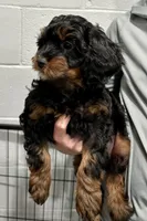 processed/39450f86-7a60-4c24-9498-ee06c53a56dd/listing/0f44b681-a02e-4372-9c53-79af1e3102ff/c5ac6584-e576-4dd2-8b37-57fd548b7784