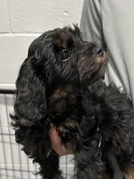 processed/39450f86-7a60-4c24-9498-ee06c53a56dd/listing/36b0e9bd-a8b8-4e1a-9573-e1752f924cea/962a1f9f-385e-4917-b98e-e8e6aaf53edf