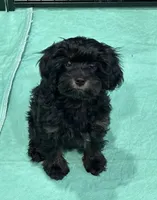 processed/39450f86-7a60-4c24-9498-ee06c53a56dd/listing/36b0e9bd-a8b8-4e1a-9573-e1752f924cea/b5986e6d-82d1-4625-ba32-a4280838bcec