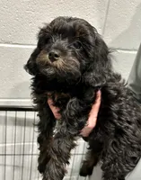 processed/39450f86-7a60-4c24-9498-ee06c53a56dd/listing/36b0e9bd-a8b8-4e1a-9573-e1752f924cea/cd915755-e4ce-4222-9d42-cd87fba32607