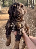 processed/39450f86-7a60-4c24-9498-ee06c53a56dd/listing/8913126f-9844-431c-b99f-03fd6a30284e/65def13a-a1c9-422a-bc14-f20bd5702121