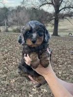 processed/39450f86-7a60-4c24-9498-ee06c53a56dd/listing/bf4c3f46-3f24-4267-94d3-830c6e701e78/3fe3da97-3aee-469a-84b5-dd74284fa815