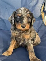 processed/39450f86-7a60-4c24-9498-ee06c53a56dd/listing/bf4c3f46-3f24-4267-94d3-830c6e701e78/5a1128ec-b628-4dea-a3a4-02bfa93a1a7d