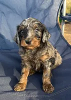 processed/39450f86-7a60-4c24-9498-ee06c53a56dd/listing/bf4c3f46-3f24-4267-94d3-830c6e701e78/d911407a-73e8-4d46-a0e5-bfcfac9021cd