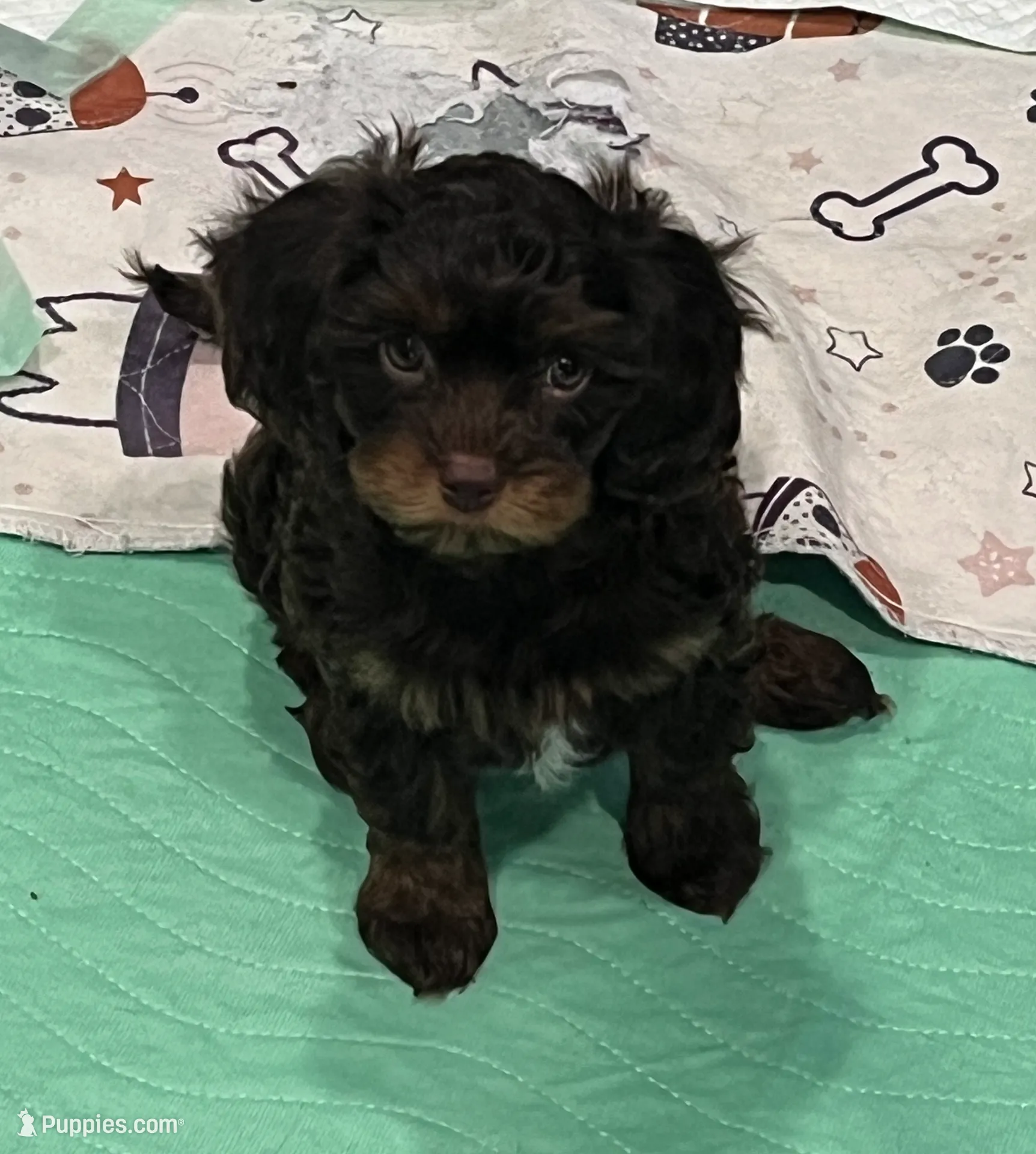 processed/39450f86-7a60-4c24-9498-ee06c53a56dd/listing/c379ce51-c3f2-470e-ae95-3f652c6d078e/3f2b8522-b012-45a7-b437-41b9af3f5962