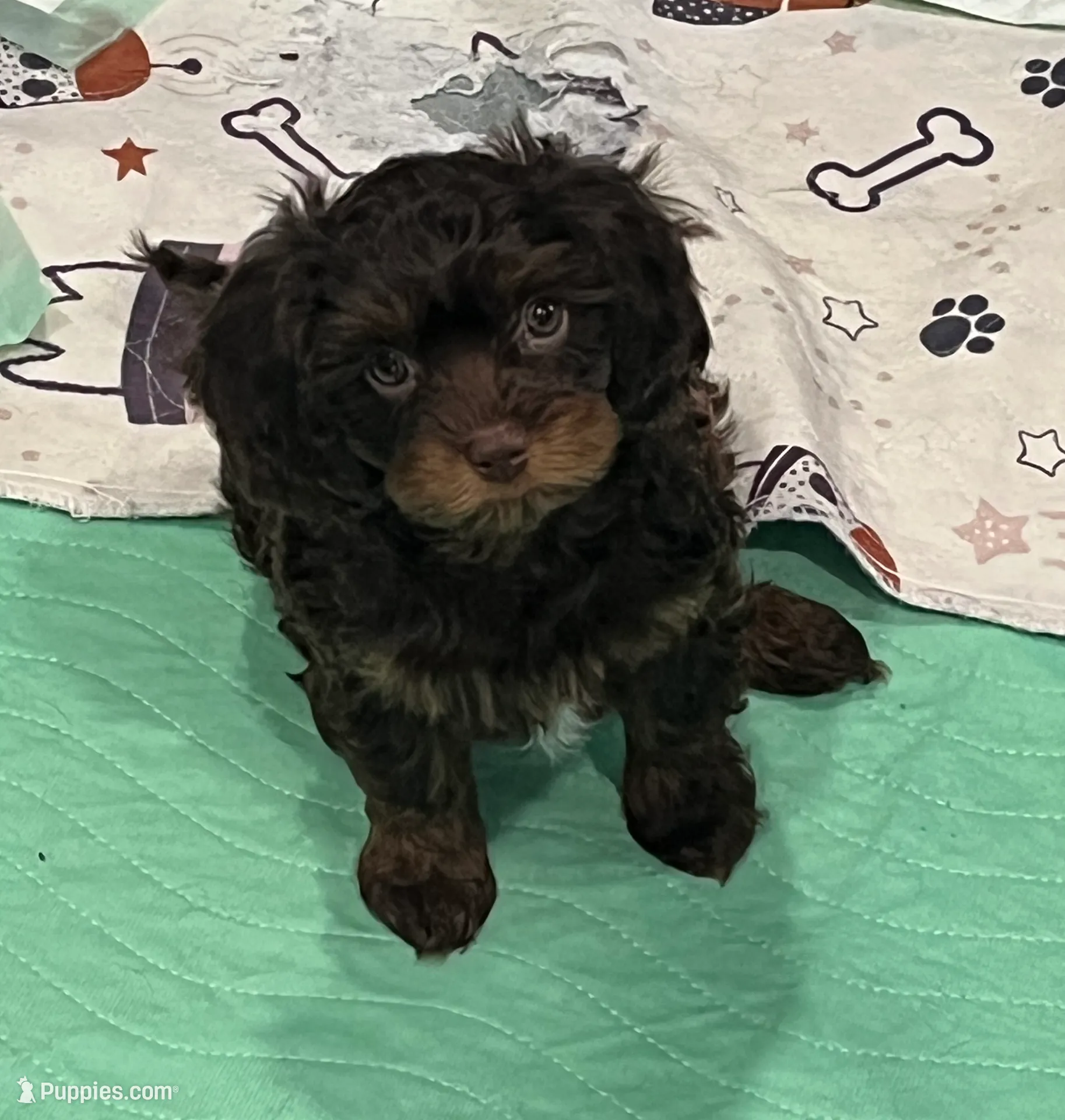 processed/39450f86-7a60-4c24-9498-ee06c53a56dd/listing/c379ce51-c3f2-470e-ae95-3f652c6d078e/4d09456e-f737-4517-83c1-458dd10a64c3