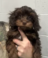 processed/39450f86-7a60-4c24-9498-ee06c53a56dd/listing/c379ce51-c3f2-470e-ae95-3f652c6d078e/67e114a8-c9fd-4769-bc8b-56cbf3335d71