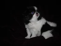 processed/394f8e93-2980-46f5-a3a1-0c68176257e4/listing/0fa27e95-76f8-420a-ac4a-bd8d57e30e73/0d0e20d7-dc54-4998-90b4-7d8112257d66