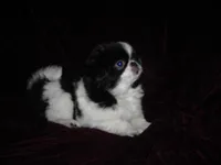 processed/394f8e93-2980-46f5-a3a1-0c68176257e4/listing/0fa27e95-76f8-420a-ac4a-bd8d57e30e73/68a5eb60-be6d-4146-92c2-a9df0c017044