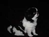 processed/394f8e93-2980-46f5-a3a1-0c68176257e4/listing/0fa27e95-76f8-420a-ac4a-bd8d57e30e73/9242beef-ae69-4d2a-b147-0b8196b611d4