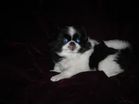 processed/394f8e93-2980-46f5-a3a1-0c68176257e4/listing/0fa27e95-76f8-420a-ac4a-bd8d57e30e73/a1b59558-b143-44c5-aeb2-08eeb32b6930