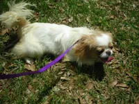 processed/394f8e93-2980-46f5-a3a1-0c68176257e4/listing/25ddc701-752b-4cb5-93f5-c4215eb6d295/37522826-a418-49b4-8b5b-56bf3e12f1df