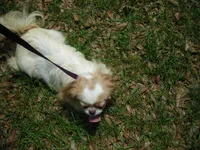 processed/394f8e93-2980-46f5-a3a1-0c68176257e4/listing/25ddc701-752b-4cb5-93f5-c4215eb6d295/9794a699-39c2-408c-a94e-5e2b1a5235ed