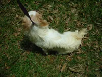 processed/394f8e93-2980-46f5-a3a1-0c68176257e4/listing/25ddc701-752b-4cb5-93f5-c4215eb6d295/9a64f95d-5e7d-4a21-b617-aba335c0337d