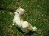 processed/394f8e93-2980-46f5-a3a1-0c68176257e4/listing/66246fad-3c3b-4ca5-af34-2106e3d8ac3b/3a693fd8-8f0b-4f08-88c6-8ea471b6f0a8