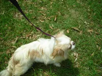 processed/394f8e93-2980-46f5-a3a1-0c68176257e4/listing/66246fad-3c3b-4ca5-af34-2106e3d8ac3b/ac68bac6-9a66-43e7-9a9c-d1fb91bd91bd