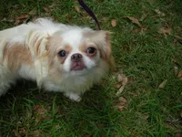 processed/394f8e93-2980-46f5-a3a1-0c68176257e4/listing/66246fad-3c3b-4ca5-af34-2106e3d8ac3b/db987355-6db5-4986-8686-7435e2138729