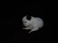 processed/394f8e93-2980-46f5-a3a1-0c68176257e4/listing/812cd1ca-7773-49cc-8328-948d013fbfeb/198c9f5b-8cc8-420f-b85f-08607b6fa83c