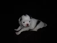 processed/394f8e93-2980-46f5-a3a1-0c68176257e4/listing/812cd1ca-7773-49cc-8328-948d013fbfeb/3b80d613-d757-40a0-bd69-d3ece6d75271