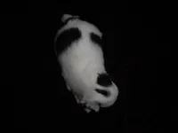 processed/394f8e93-2980-46f5-a3a1-0c68176257e4/listing/812cd1ca-7773-49cc-8328-948d013fbfeb/beac10a1-d34e-4a28-8146-24e48a1d938d