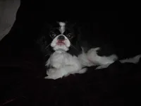 processed/394f8e93-2980-46f5-a3a1-0c68176257e4/listing/9e059596-eb9b-4078-bd06-8b18e6f30a00/bcc14acc-ca41-4af9-82d9-46e567766fa4