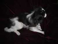 processed/394f8e93-2980-46f5-a3a1-0c68176257e4/listing/9e059596-eb9b-4078-bd06-8b18e6f30a00/f87eb8b2-f5e4-4603-95ab-f908a61036e9