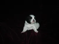 processed/394f8e93-2980-46f5-a3a1-0c68176257e4/listing/a7f804e9-f939-472e-bd66-c77fb499c6fa/b06a2b8d-e127-49af-a354-74e2927f1a64