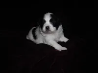 processed/394f8e93-2980-46f5-a3a1-0c68176257e4/listing/b5aa56c0-7ade-41e1-9cbc-95f3f9616fe7/3900ad92-7989-4ab3-a050-0e5189db40a0