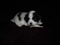 processed/394f8e93-2980-46f5-a3a1-0c68176257e4/listing/b5aa56c0-7ade-41e1-9cbc-95f3f9616fe7/55a411ea-a445-4c73-8bfd-ce905d5acdc3