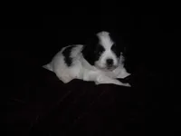 processed/394f8e93-2980-46f5-a3a1-0c68176257e4/listing/b5aa56c0-7ade-41e1-9cbc-95f3f9616fe7/cdfd7ee9-e576-42c5-8fe9-4b98701877af