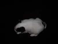 processed/394f8e93-2980-46f5-a3a1-0c68176257e4/listing/b5aa56c0-7ade-41e1-9cbc-95f3f9616fe7/de187f17-6569-46b6-b530-f36ca2940bc9