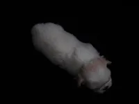 processed/394f8e93-2980-46f5-a3a1-0c68176257e4/listing/c939b190-2d02-41e1-839a-355ba2686c55/91f05fe9-fc45-40b2-8525-636961be74a1