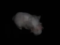 processed/394f8e93-2980-46f5-a3a1-0c68176257e4/listing/c939b190-2d02-41e1-839a-355ba2686c55/9df32db8-2422-44ee-aff9-14f161178687